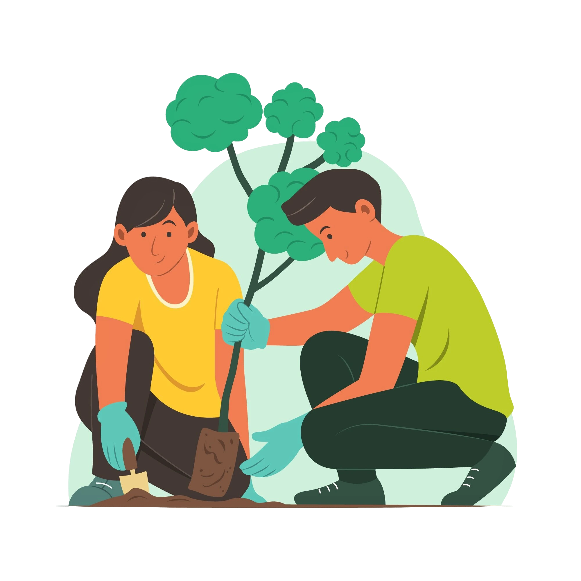 Plant Tree